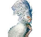 Click HERE to download!